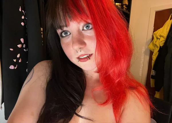 Tracer - OnlyFans Profile Photo